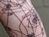 RF Cafe: Science & Engineering Tattoos, Cosmic Rays in a CERN Bubble Chamber