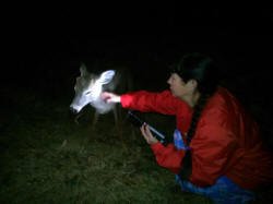 An Amazing Story - RF Cafe