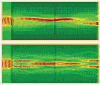Microwaves in Metamaterial Perform Quantum Search - RF Cafe