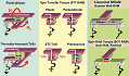 Advancements in Spintronics - RF Cafe