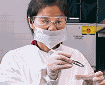 New GaN Transistor Enables Faster & Cheaper Wireless Communications - RF Cafe Website