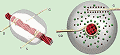 Transistors and Electronic Devices from Thread - RF Cafe Website
