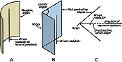 The Square-Corner Reflector Beam Antenna for Ultra High Frequencies, November 1940 QST - RF Cafe