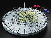 Twisted Graphene and Tungsten Delenide Layers Unlock Spintronics