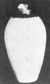 Batteries were built into earthenware jars - RF Cafe